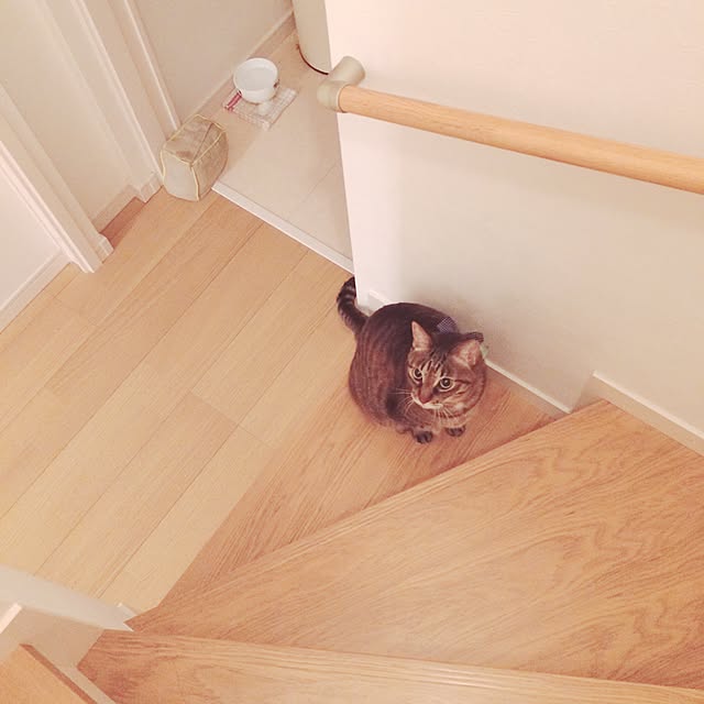 lovecatさんの実例写真