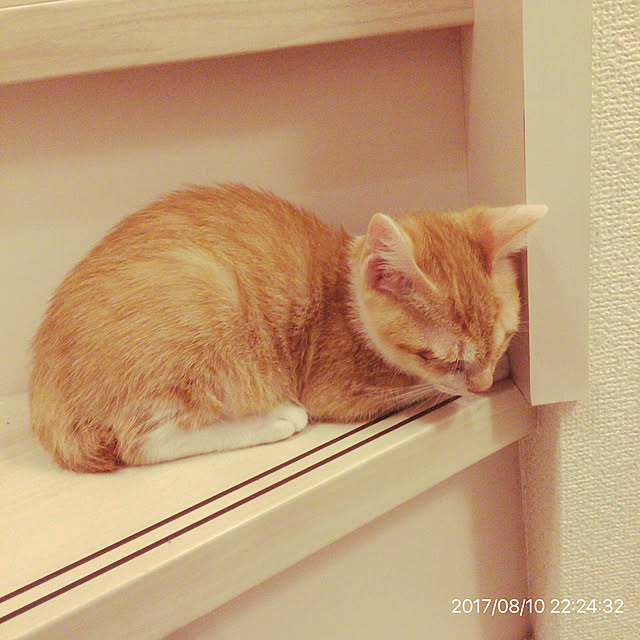 miiさんの実例写真