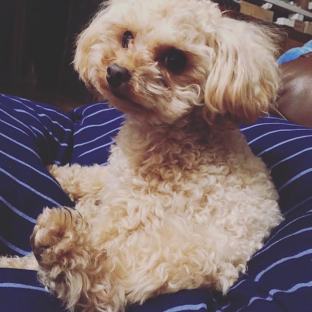 krkc..さんの実例写真