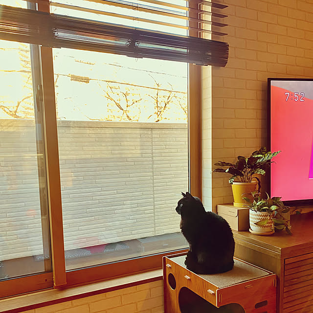 iiiyocoiiiさんの部屋