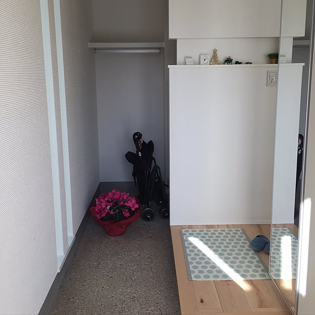 myu3333さんの実例写真