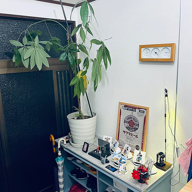 nobuさんの実例写真