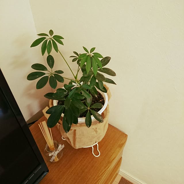 sachiyo.kさんの実例写真