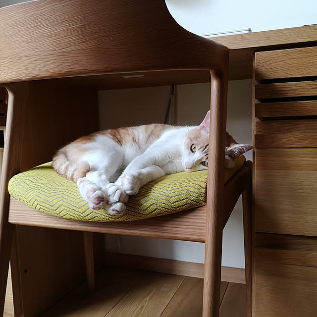 koyurizuさんの実例写真
