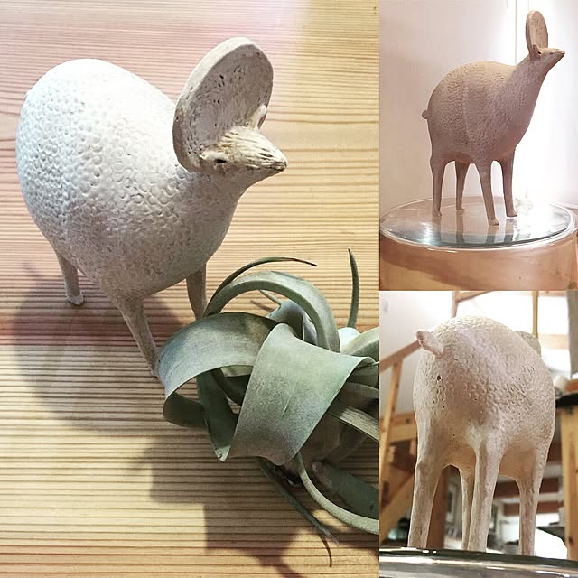 mohayaeteさんの実例写真
