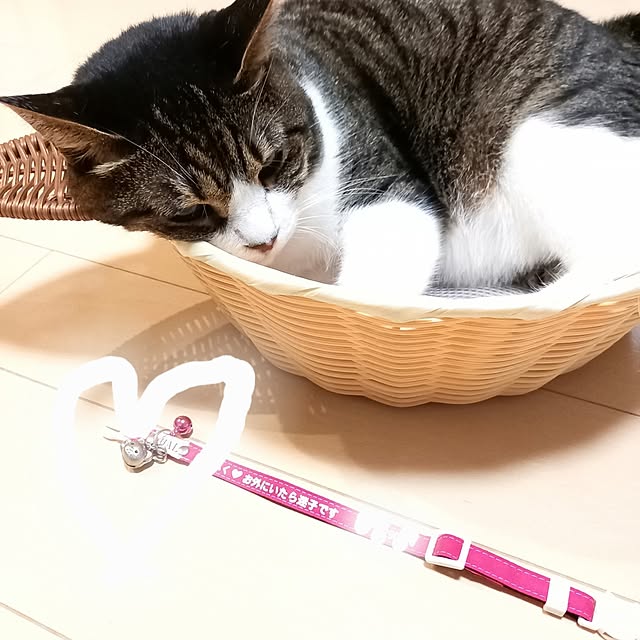 civicglさんの実例写真