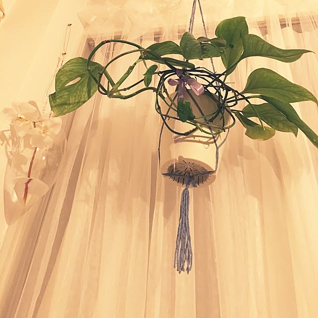 yakaさんの実例写真