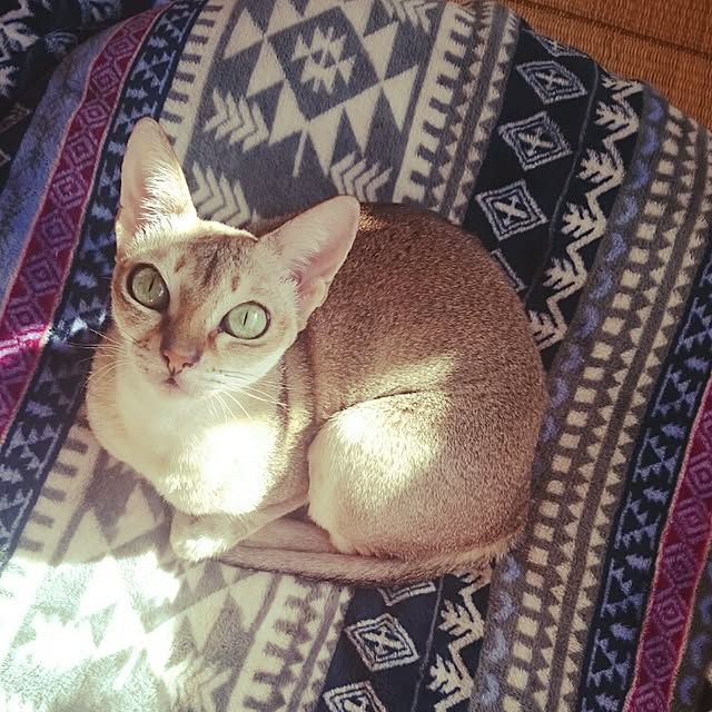 Jcさんの実例写真