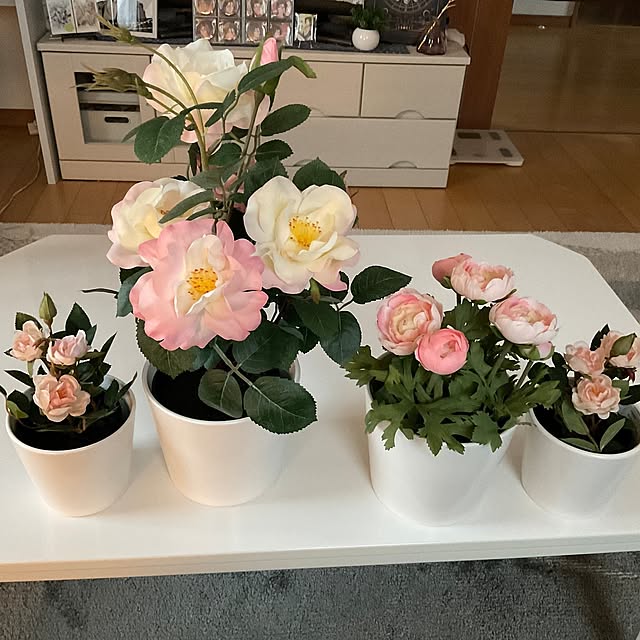 nanae-lowellさんの部屋