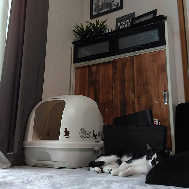 yuuさんの実例写真
