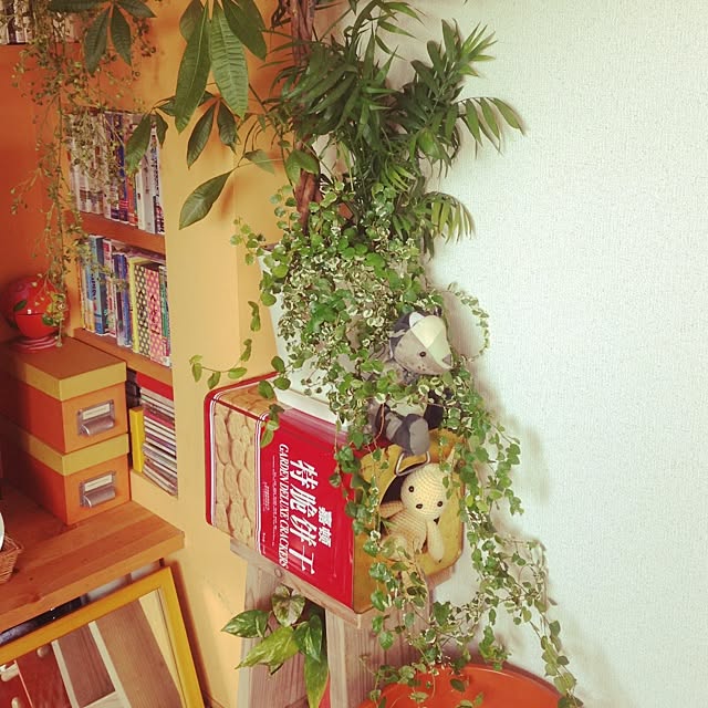 maimaiさんの実例写真