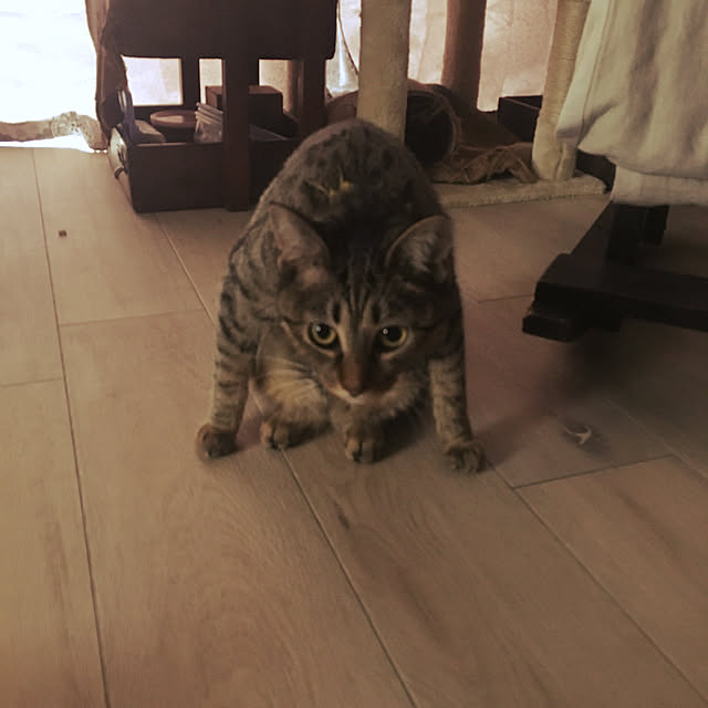 Mさんの実例写真