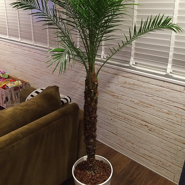 Keisukeさんの実例写真