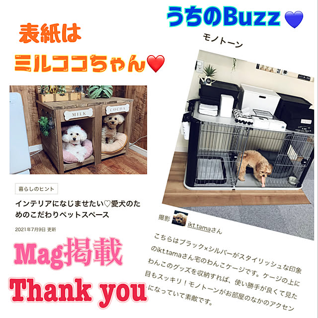 ikt.tamaさんの実例写真