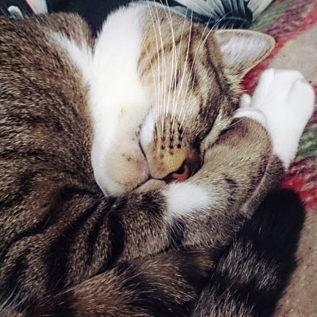Lukiさんの実例写真