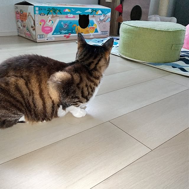 yuk.さんの部屋