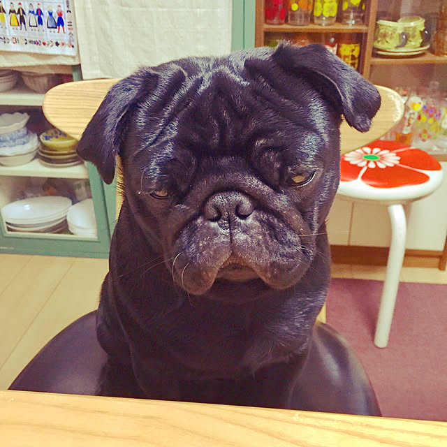 kopandaさんの実例写真
