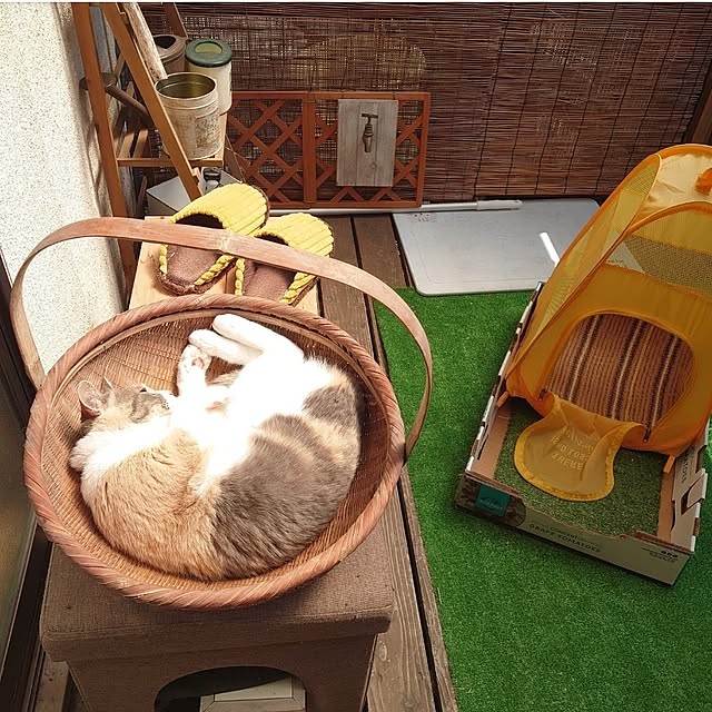 fukuさんの部屋