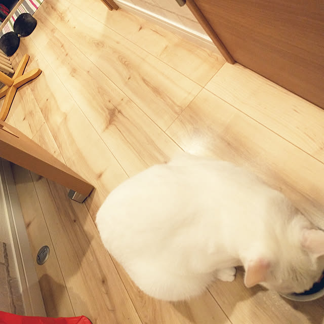 keikomokonさんの実例写真