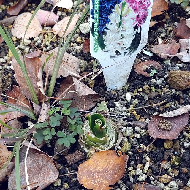 Bienvenueさんの部屋