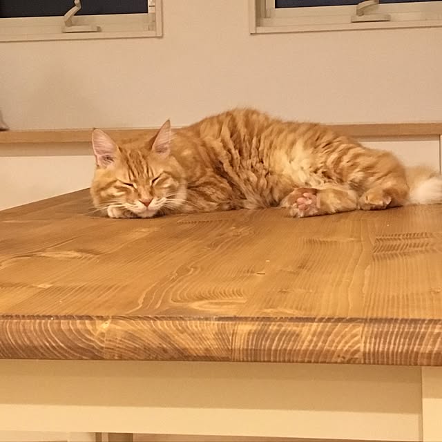 pomuriさんの実例写真