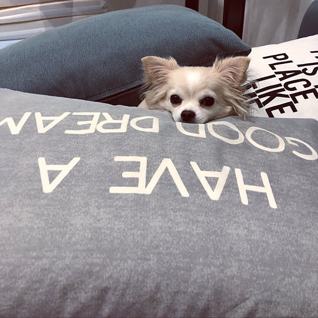Mihocoさんの実例写真