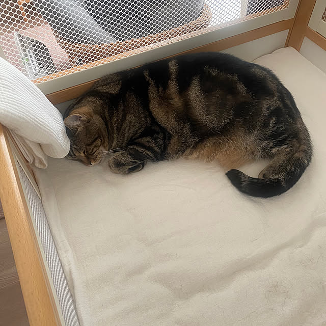 mikomaruさんの実例写真