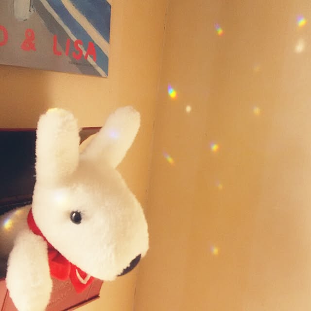 yukkoさんの実例写真