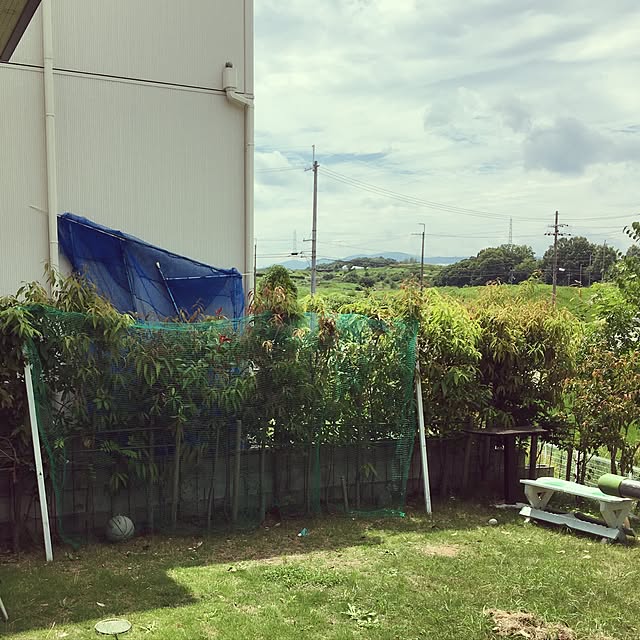 Makoさんの実例写真