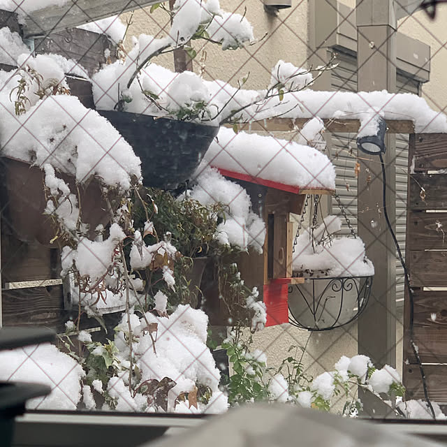 masakoさんの部屋