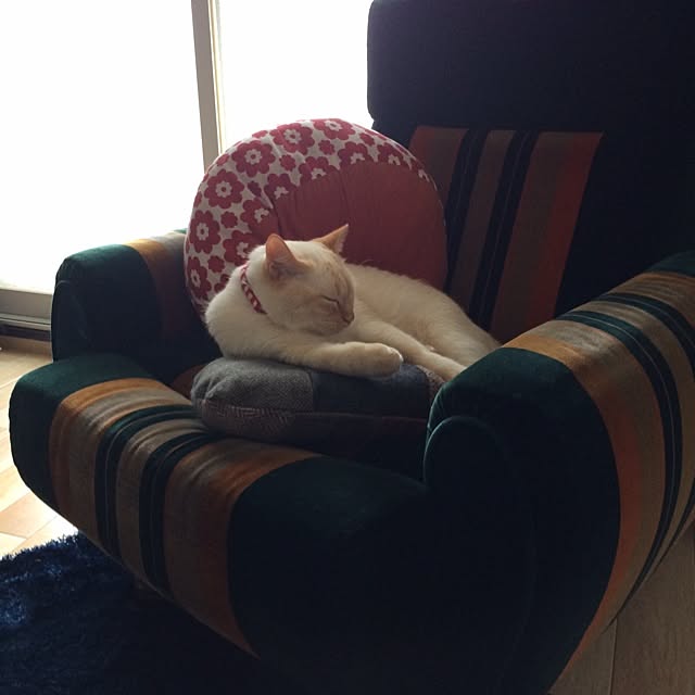 bobooooonさんの実例写真