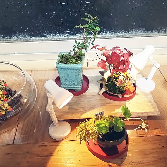 hana.1321jpさんの実例写真