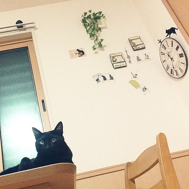maaagarineさんの実例写真