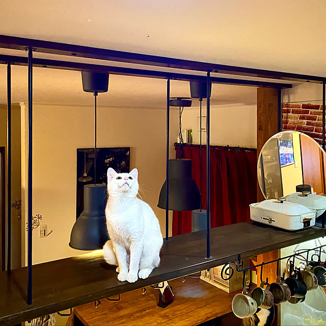 butachanさんの実例写真