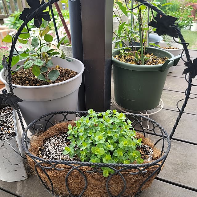 VIORAさんの実例写真