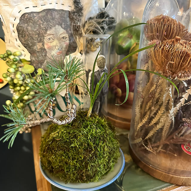 okyame-chanさんの部屋