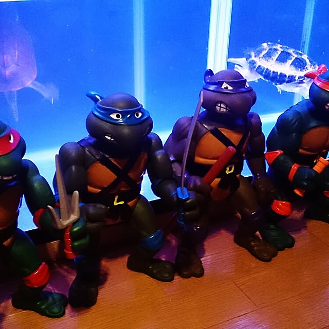 venom0424さんの実例写真