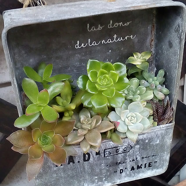 mariagardenさんの実例写真