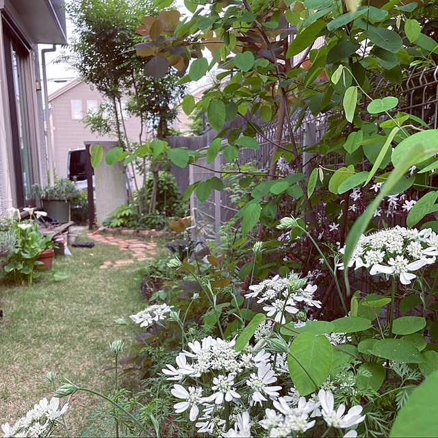 hatsugaさんの実例写真