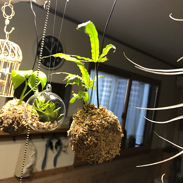 CoffeeHouseさんの部屋