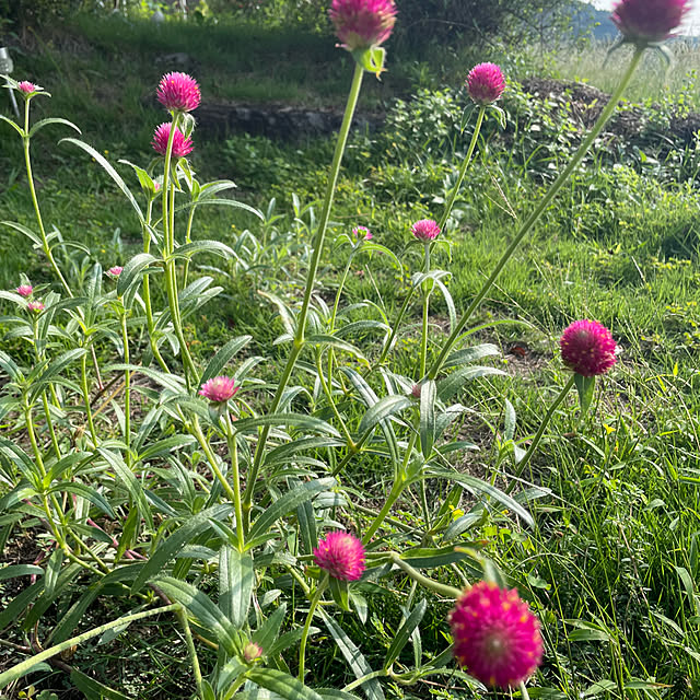 natsumiさんの部屋