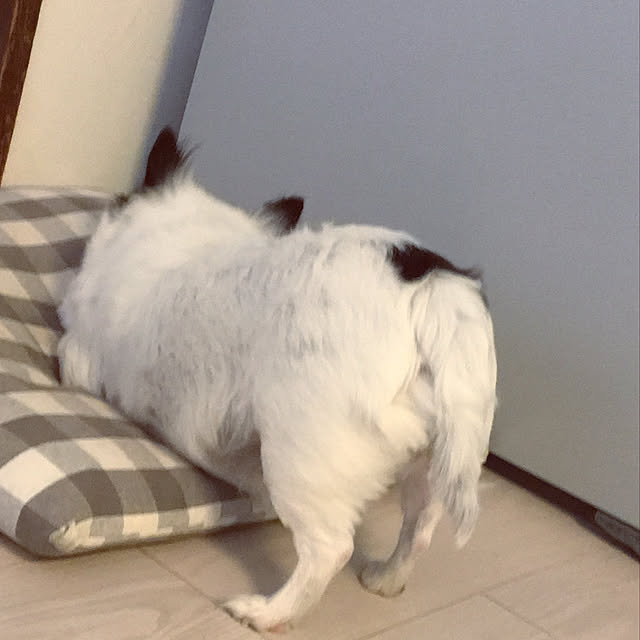 ohanaさんの実例写真