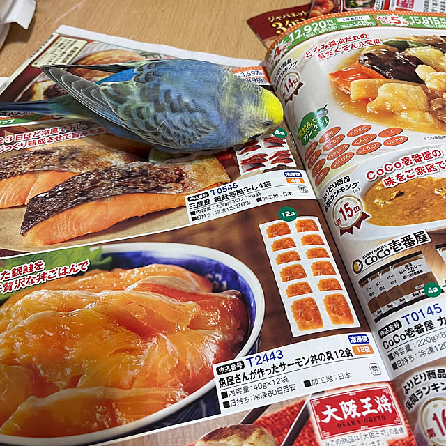 Atsukoさんの部屋