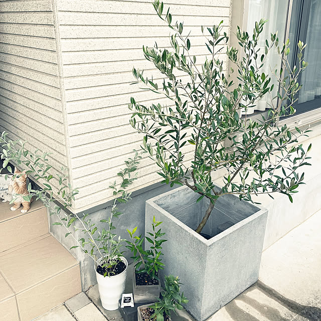mauさんの実例写真