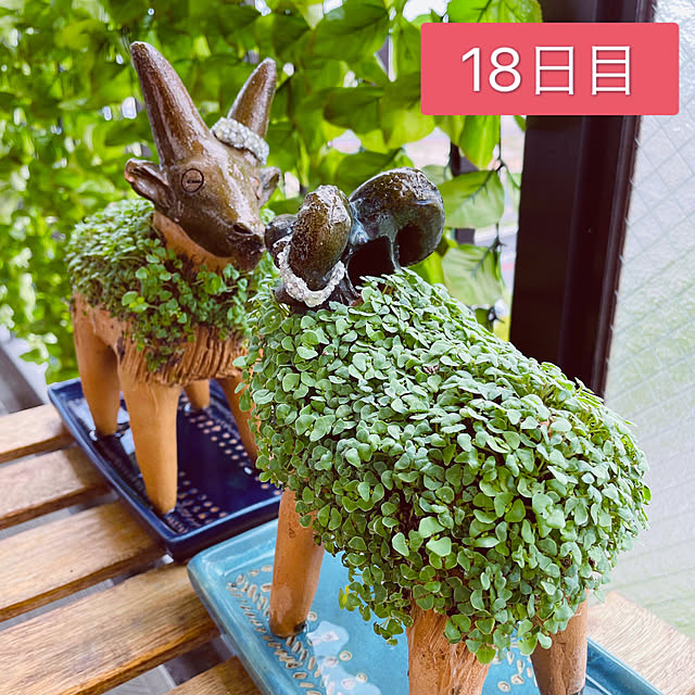 aureaさんの実例写真