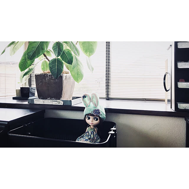 kao.320さんの実例写真