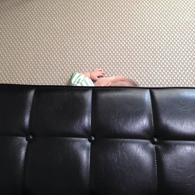 chiriさんの実例写真
