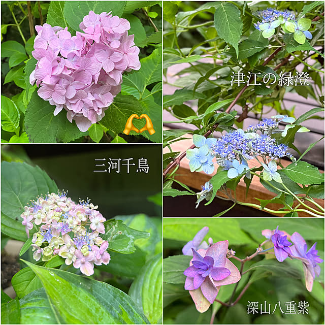 Kikko.さんの部屋
