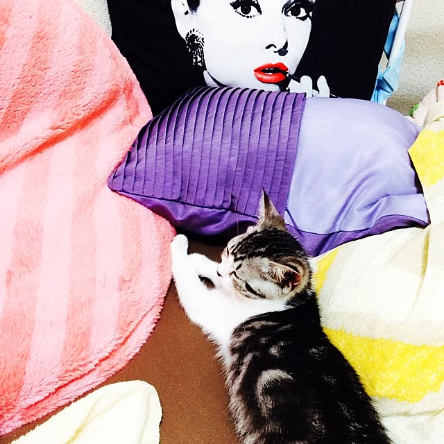 ALiceさんの実例写真