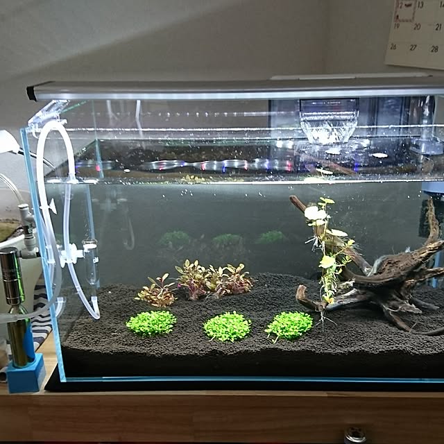 nooobさんの実例写真